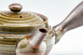 Tezumi — Japanese Kyusu - 萬古焼 Green Ash Glazed Banko-yaki Teapot - 250ml — closeup of the decoration