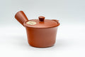 Tezumi — Japanese Kyusu - Small Houhin-style Tokoname-yaki Teapot - 175ml — side view showing the spout
