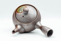 Japanese Kyusu - Shoryu Kiln 昇龍窯 Banko-yaki Teapot - 250ml - Tezumi