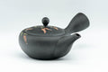 Tezumi — Japanese Kyusu - 昭萌 Shohou Koie Floral Kurodei Tokoname-yaki Obi-ami Teapot - 250ml — side view with the lid and side handle