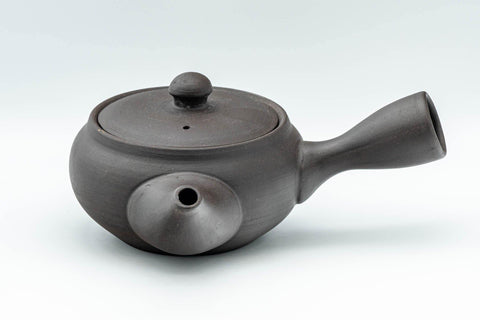 Tezumi — Japanese Kyusu - Dark Grey Side-Handle Teapot - 300ml — side view with the lid and side handle