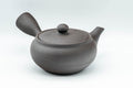 Tezumi — Japanese Kyusu - Dark Grey Side-Handle Teapot - 300ml — side view showing the spout