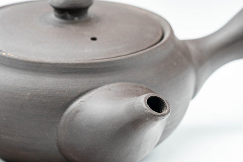 Tezumi — Japanese Kyusu - Dark Grey Side-Handle Teapot - 300ml — side profile showing the spout and handle