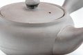 Tezumi — Japanese Kyusu - Dark Grey Side-Handle Teapot - 300ml — closeup of the decoration