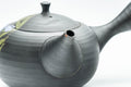 Japanese Kyusu - 玉光 Gyokko Floral Tokoname-yaki Sasame Teapot - 275ml - Tezumi