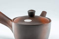 Tezumi — Japanese Kyusu - Yohen Fired Tokoname-yake Teapot - 240ml — closeup of the base