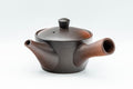 Tezumi — Japanese Kyusu - Yohen Fired Tokoname-yake Teapot - 240ml — side view showing the spout