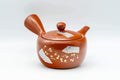 Japanese Kyusu - 常滑焼 Decorative Tokoname-yaki Teapot  - 230ml - Tezumi