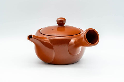 Japanese Kyusu - 常滑焼 Decorative Tokoname-yaki Teapot  - 230ml - Tezumi