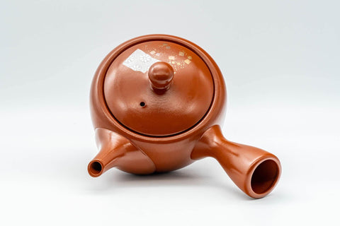 Japanese Kyusu - 常滑焼 Decorative Tokoname-yaki Teapot  - 230ml - Tezumi