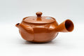 Tezumi — Japanese Kyusu - Floral Striped Tokoname-yaki Obi-ami Teapot - 320ml — side view showing the spout