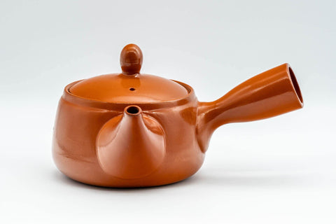 Japanese Kyusu - Engraved Floral Kanji Tokoname-yaki Teapot - 350ml - Tezumi