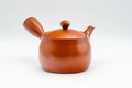 Japanese Kyusu - Iwata Kiln Tokoname-yaki Kyusu - 375ml - Tezumi