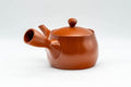 Japanese Kyusu - Iwata Kiln Tokoname-yaki Kyusu - 375ml - Tezumi