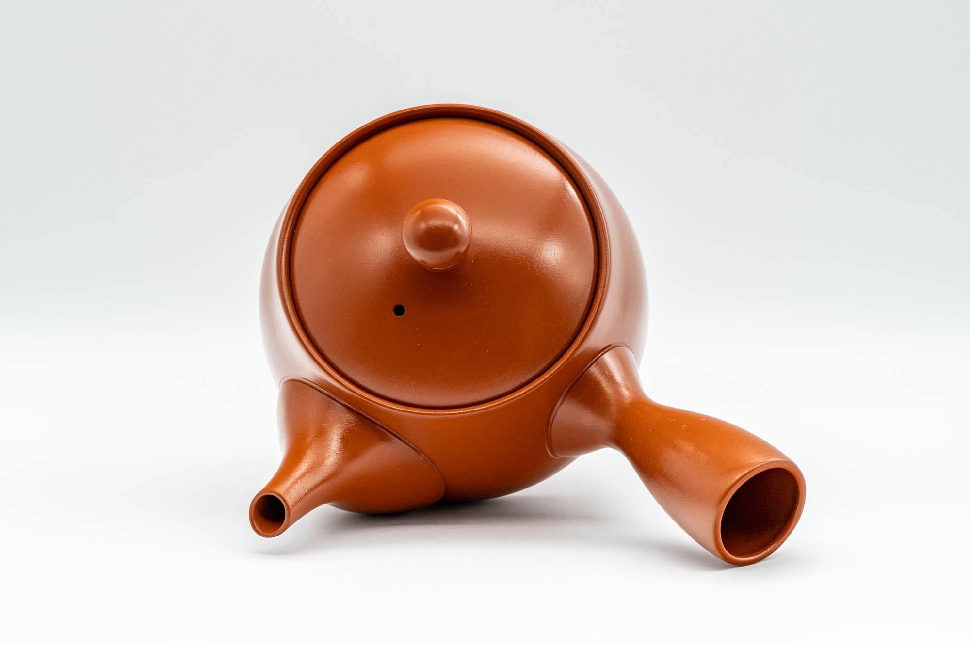 Japanese Kyusu - Iwata Kiln Tokoname-yaki Kyusu - 375ml - Tezumi