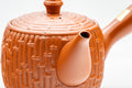 Tezumi — Japanese Kyusu - Large Bamboo Tokoname-yaki Debeso Teapot - 500ml — closeup of the decoration