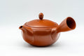 Japanese Kyusu - 高資窯 Takasuke Kiln - Sasame Filter Tokoname-yaki Teapot - 300ml - front view showing the spout and lid