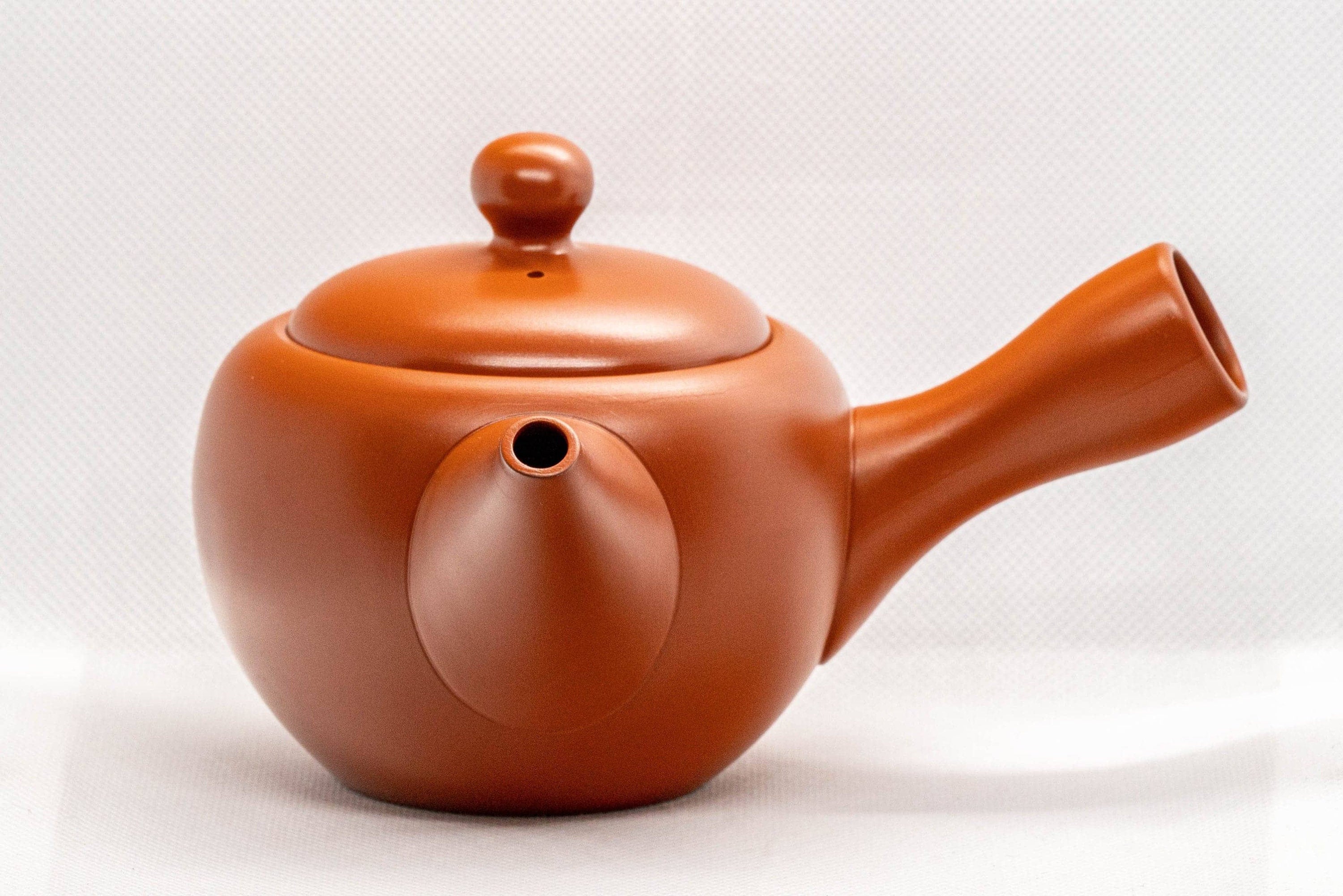 Japanese Kyusu - Kouyou 弘洋 Tokoname-yaki Teapot - 350ml - Tezumi