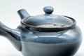 Tezumi — Japanese Kyusu - Blue Gradient Mesh Filter Teapot - 340ml — closeup of the decoration