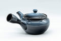 Tezumi — Japanese Kyusu - Blue Gradient Mesh Filter Teapot - 340ml — side view showing the spout