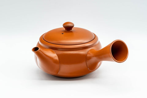 Japanese Kyusu - 嘉山 Yamamoto Kazan - Calligraphy Floral Tokoname-yaki Teapot - 300ml