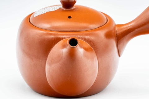 Japanese Kyusu - Engraved Turtle Tokoname-yaki Teapot - 350ml - Tezumi