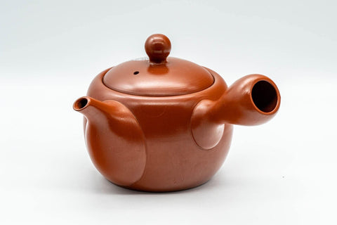 Japanese Kyusu - Engraved Turtle Tokoname-yaki Teapot - 350ml - Tezumi