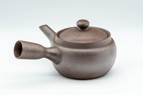 Tezumi — Japanese Kyusu - Classic Banko-yaki Mesh Filter Teapot - 300ml — side view showing the spout