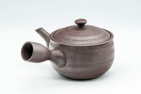 Tezumi — Japanese Kyusu - Striped Banko-yaki Teapot - 240ml — side view showing the spout