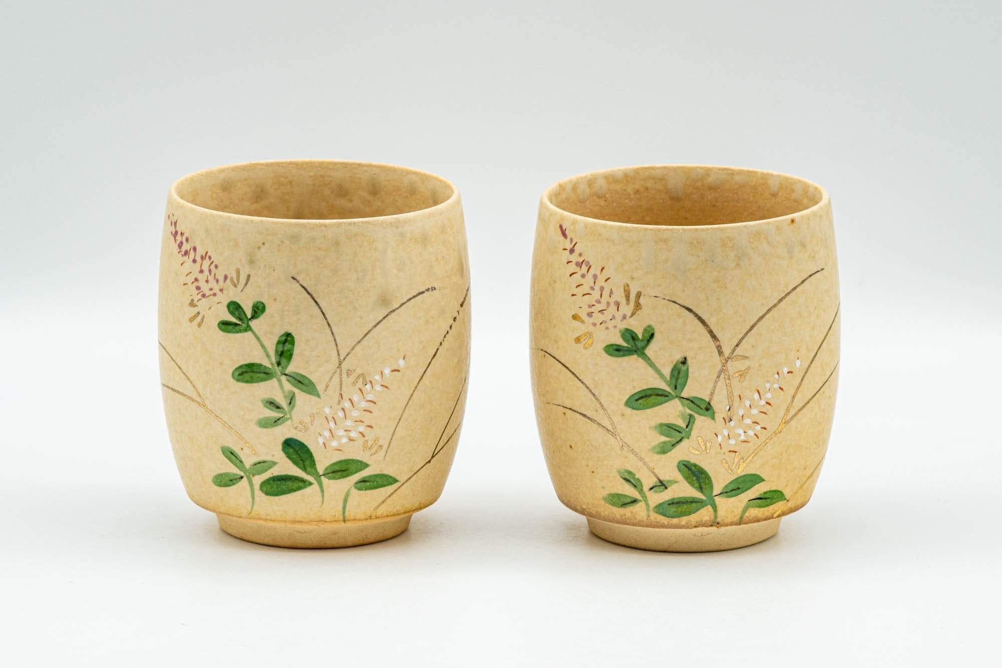 Japanese Tea Set - Floral Beige Glazed Debeso Dobin Teapot and 2 Yunomi Teacups