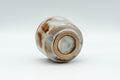 Tezumi — Japanese Teacup - Orange Milky White Shino Glazed Guinomi - 50ml — top-down view of the interior