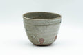 Japanese Teacup - Alligator Wabi-Sabi Yunomi - 200ml - Tezumi