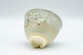 Tezumi — Japanese Teacup - Floral Gold Kyo-yaki Yunomi - 110ml — three-quarter view