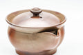 Japanese Houhin - 柴岡陶泉堂 Shibaoka Tosendou Hidasuki Bizen-yaki Do-ake Teapot - 120ml - Tezumi