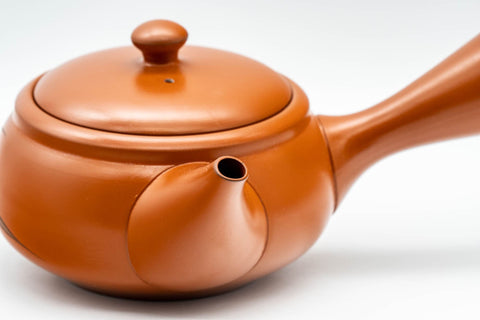 Japanese Kyusu - 嘉山 Yamamoto Kazan - Calligraphy Floral Tokoname-yaki Teapot - 300ml