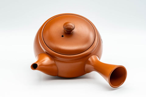 Japanese Kyusu - 嘉山 Yamamoto Kazan - Calligraphy Floral Tokoname-yaki Teapot - 300ml