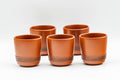 Japanese Tea Set - Morishita Gisen - Tokoname-yaki Debeso Dobin Teapot with 5 Yunomi Teacups - the five matching yunomi teacups arranged together