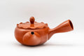 Tezumi — Japanese Kyusu - Crowned and Engraved Tokoname-yaki Teapot - 275ml — three-quarter view from the opposite side