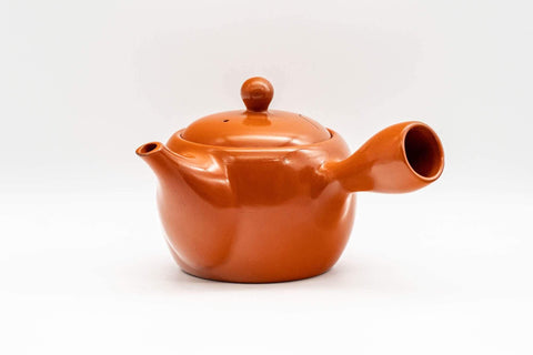 Japanese Kyusu - Engraved Landscape Tokoname-yaki Teapot - 325ml - Tezumi