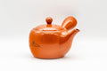 Japanese Kyusu - Engraved Landscape Tokoname-yaki Teapot - 325ml - Tezumi