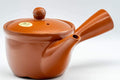 Japanese Kyusu - Classic Tokoname-yaki Mesh Filter Teapot - 300ml - Tezumi
