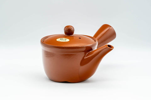 Japanese Kyusu - Classic Tokoname-yaki Mesh Filter Teapot - 300ml - Tezumi