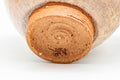 Tezumi — Japanese Teacup - Beige Gohonte Hagi-yaki Yunomi - 140ml — closeup of the glaze