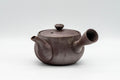 Tezumi — Japanese Kyusu - Engraved Geometric Banko-yaki Debeso Teapot - 200ml — side view showing the spout