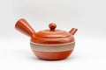 Tezumi — Japanese Kyusu - Engraved Yellow Striped Tokoname-yaki Teapot - 290ml — side view with the lid and side handle