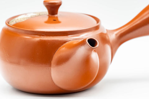 Japanese Kyusu - Floral Engraved Tokoname-yaki Debeso Teapot - 320ml - Tezumi