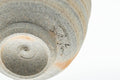 Tezumi — Japanese Teacup - 緋襲 Hidasuki Bizen-yaki Guinomi - 50ml — inverted showing the foot ring