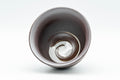 Tezumi — Japanese Teacups - Set of 3 White Spiral Banko-yaki Yunomi - 90ml — top-down view of the interior