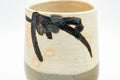 Tezumi — Japanese Teacups - Pair of Beige Sankaku-gata Triangular Yunomi - 200ml — top-down view of the interior