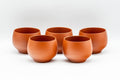 Japanese Tea Set - 常滑焼 Engraved Tokoname-yaki Debeso Kyusu with 5 Yunomi - Tezumi
